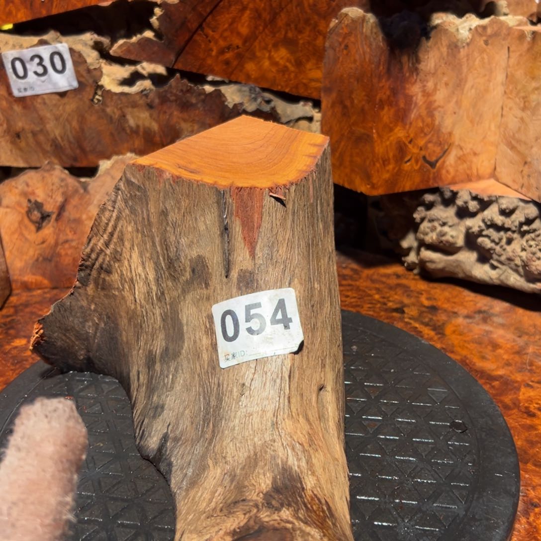 大果紫檀（缅甸花梨）