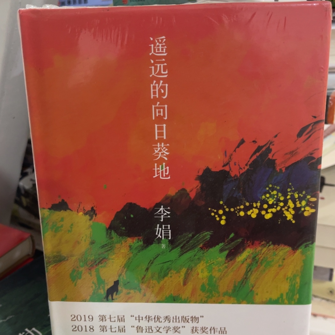 遥远的向日葵地精装