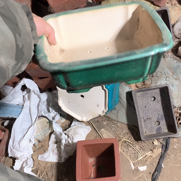 紫砂哈哈真的是太给力