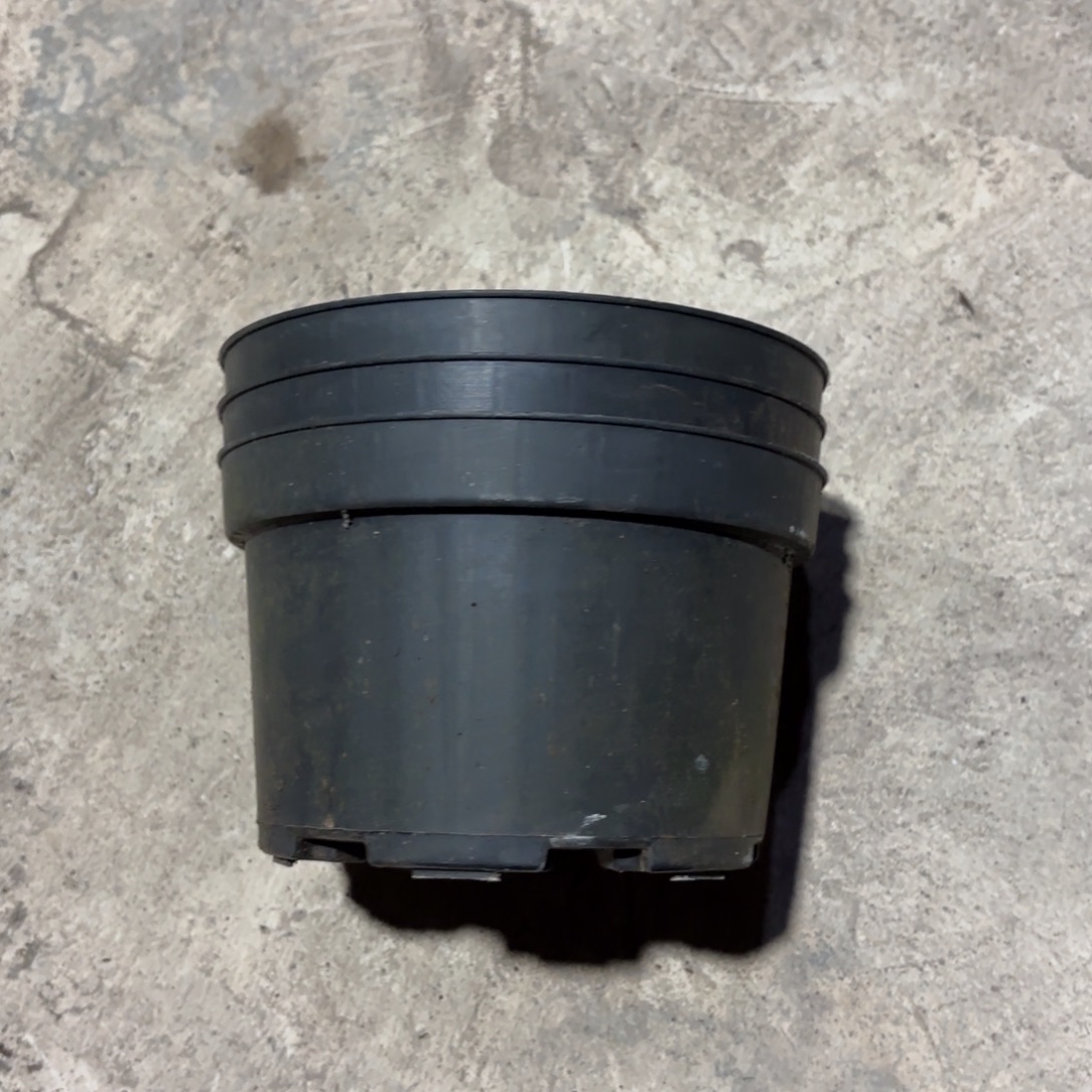 黑色矮泡盆15✖️9.5发40个