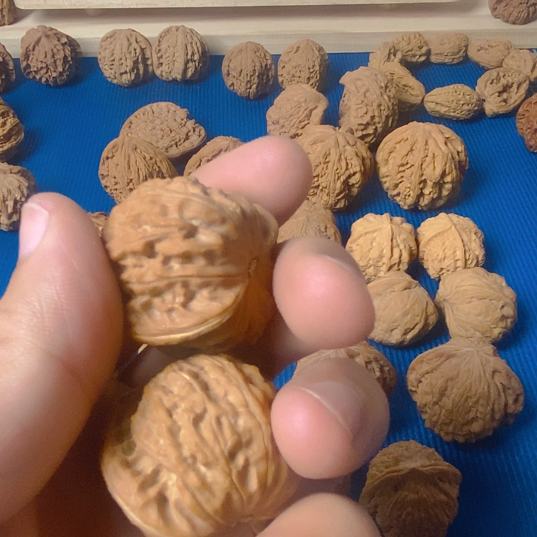 核桃手串/手链ʚ****?核桃核桃核桃