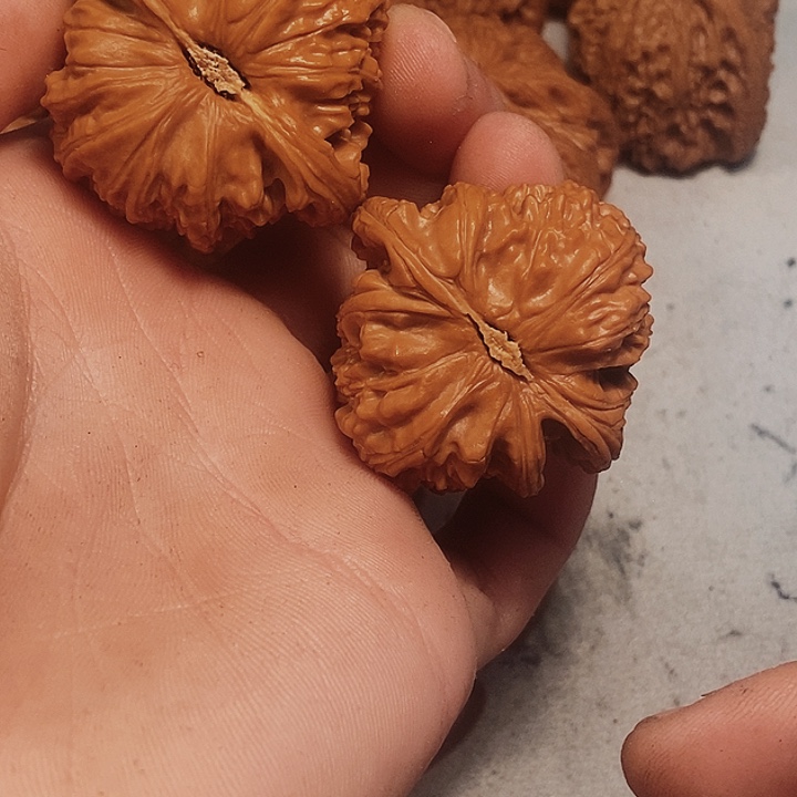 吊坠桃核全品白狮子42