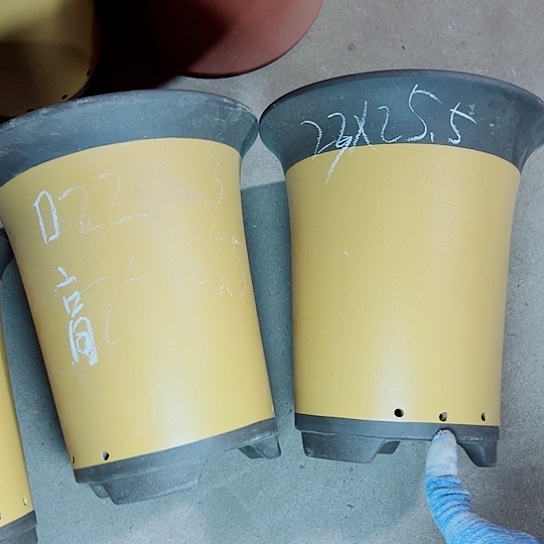 红陶紫砂紫砂紫砂