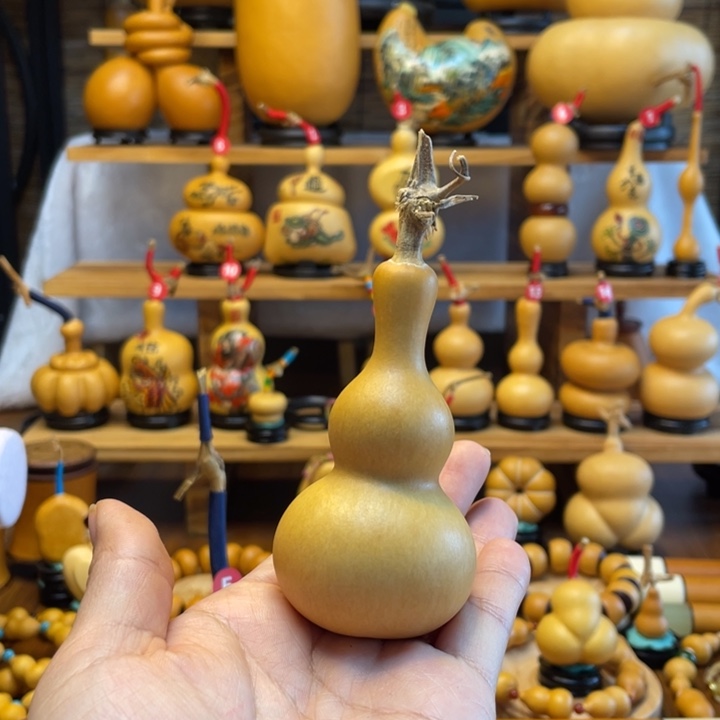 样*臭天然葫芦自然生长