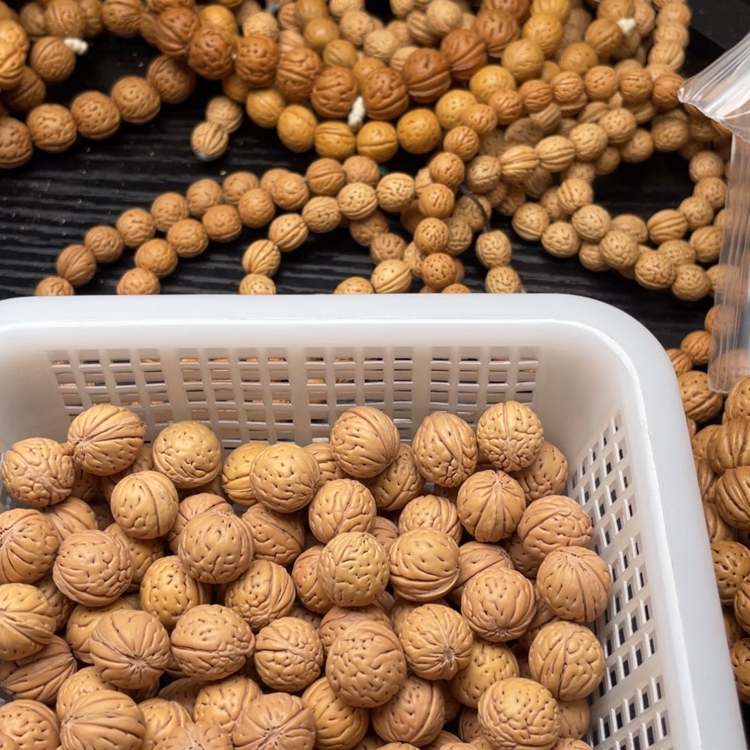 【闪购商品】—**风散子批发50米