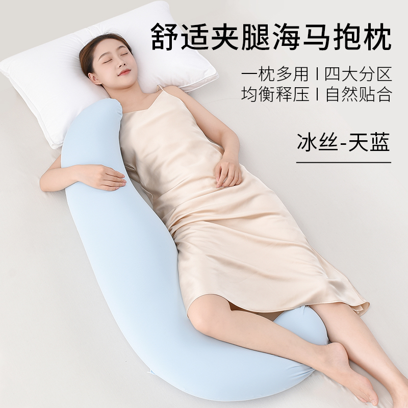 西域楼兰海马抱枕