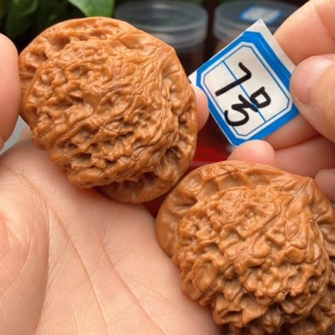 文玩核桃吊坠官帽55全品