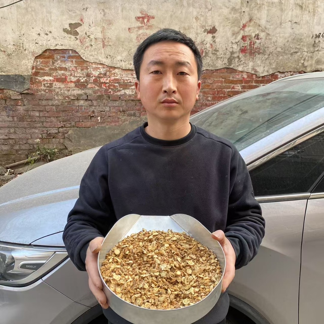 秦艽 云南正宗小秦艽大山里采挖非种植切断有大有小