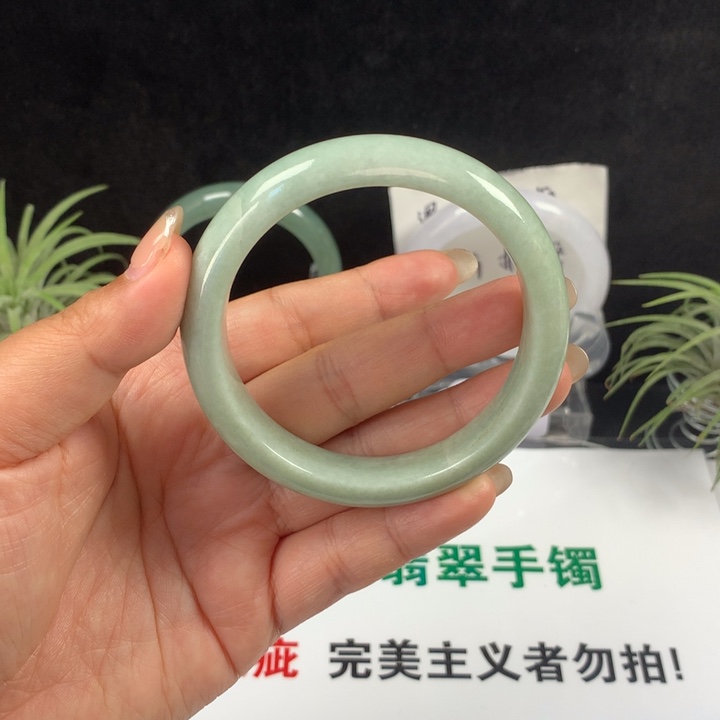 未镶嵌手镯翡翠15