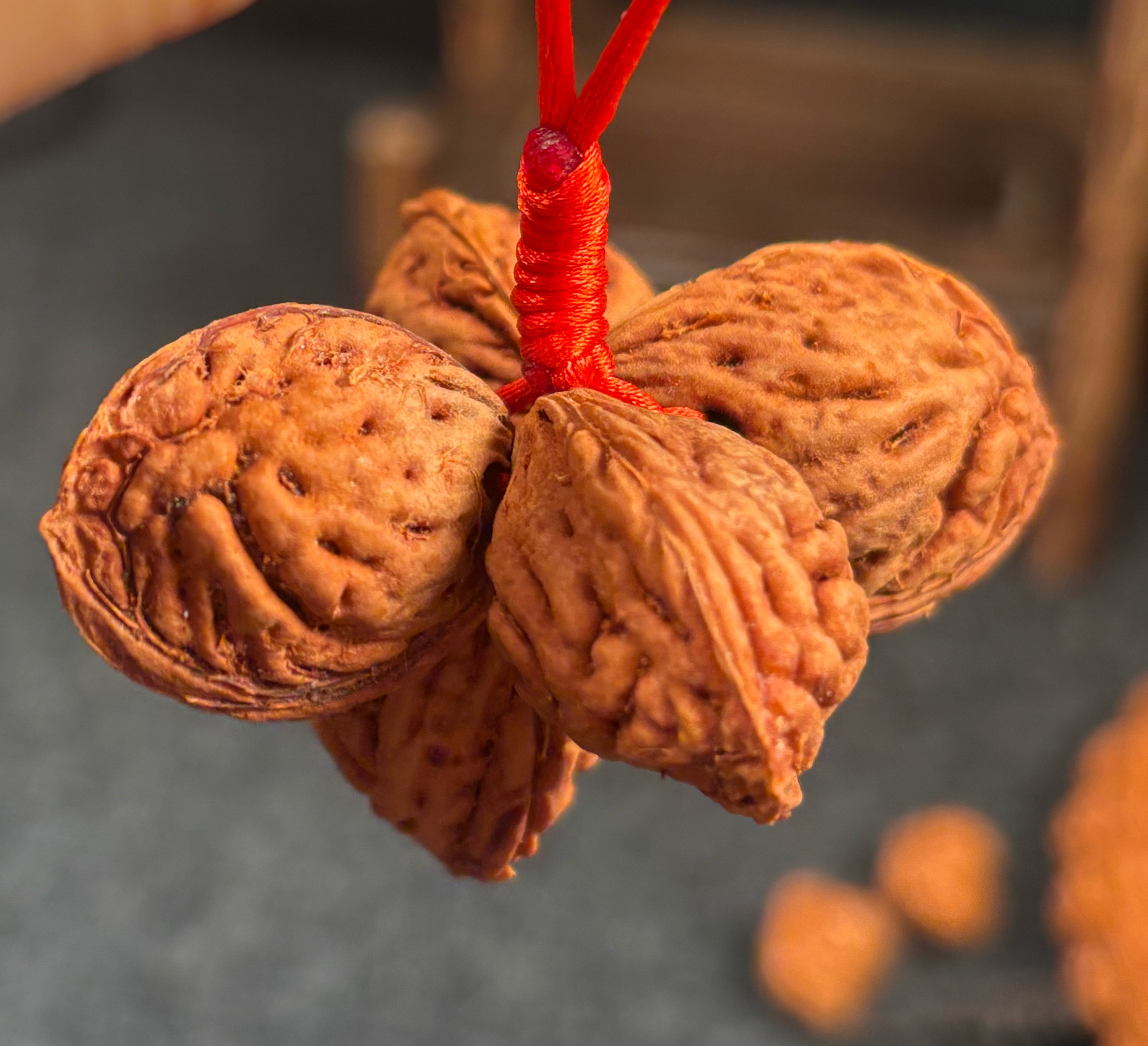 秦岭野生桃枭五福临门 东南枝秦岭桃枭