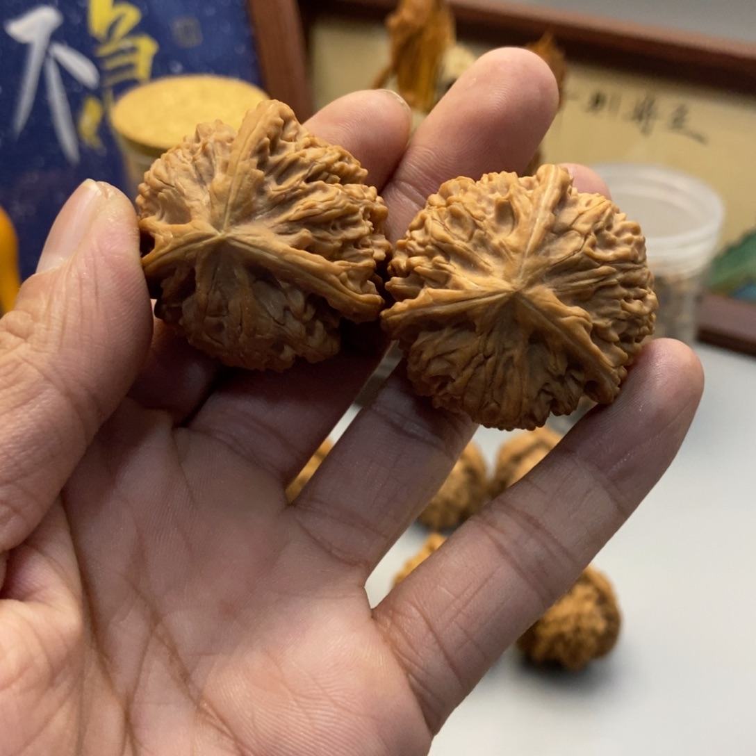 赵***鑫38尺寸文山三棱文玩