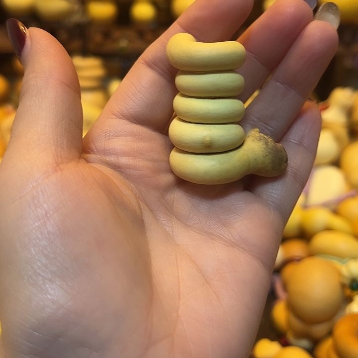 灬***大叶紫檀（黑酸枝木类）