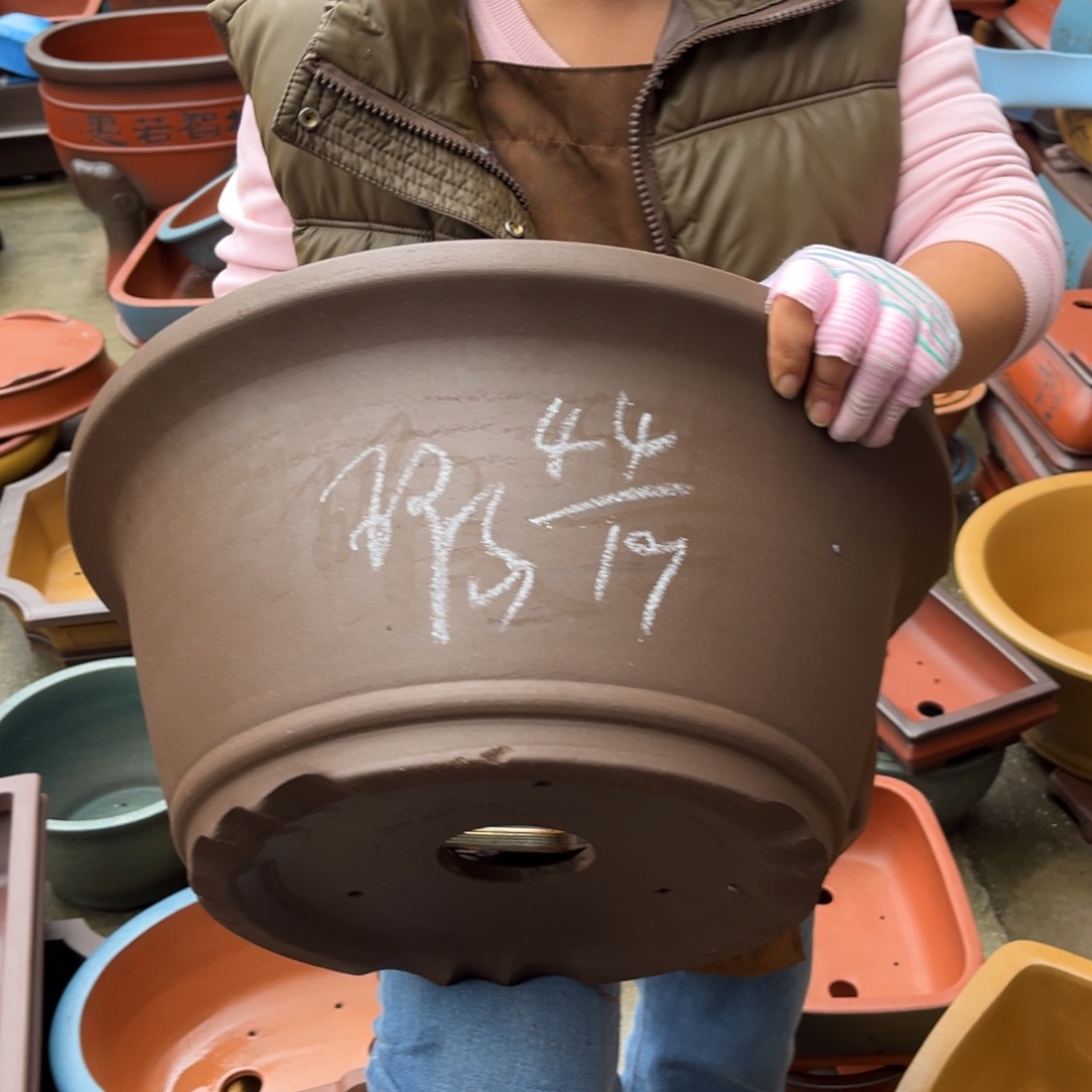 紫砂花盆盆景艺术