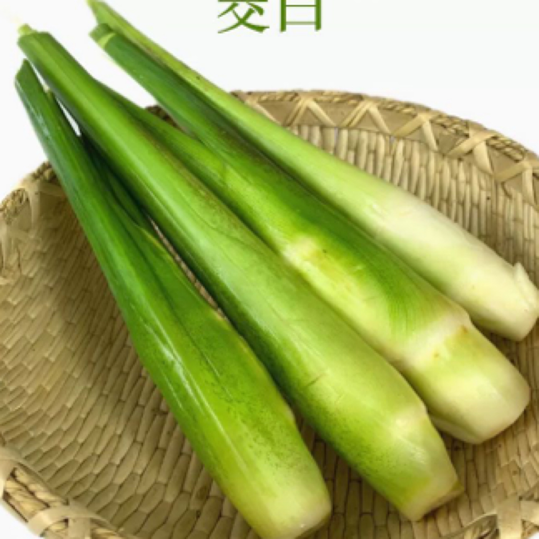 精品新鲜茭白发货250g±50g