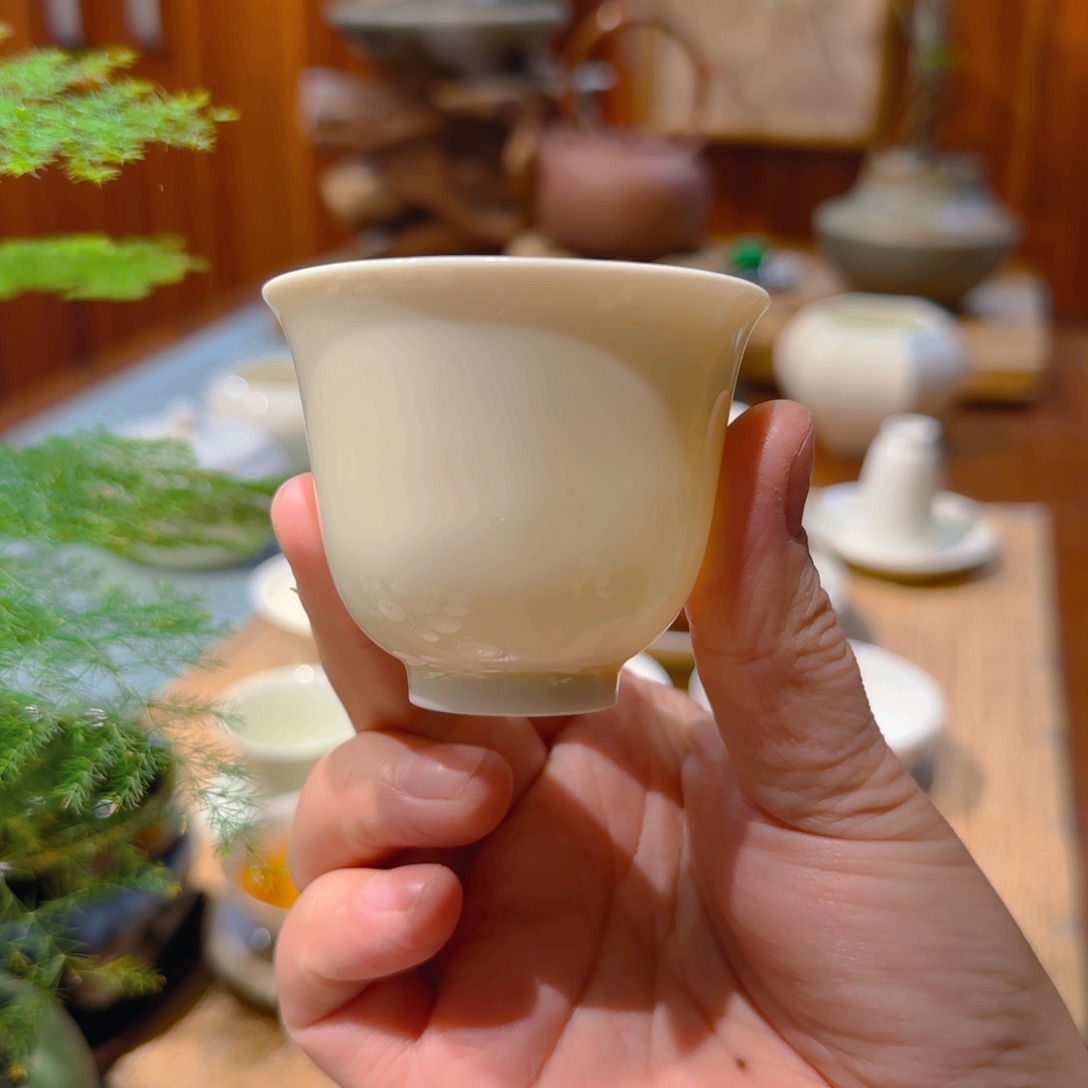 微澜定瓷 玉兰杯60cc1111