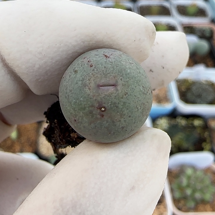 艾***️728福利福利福利福利