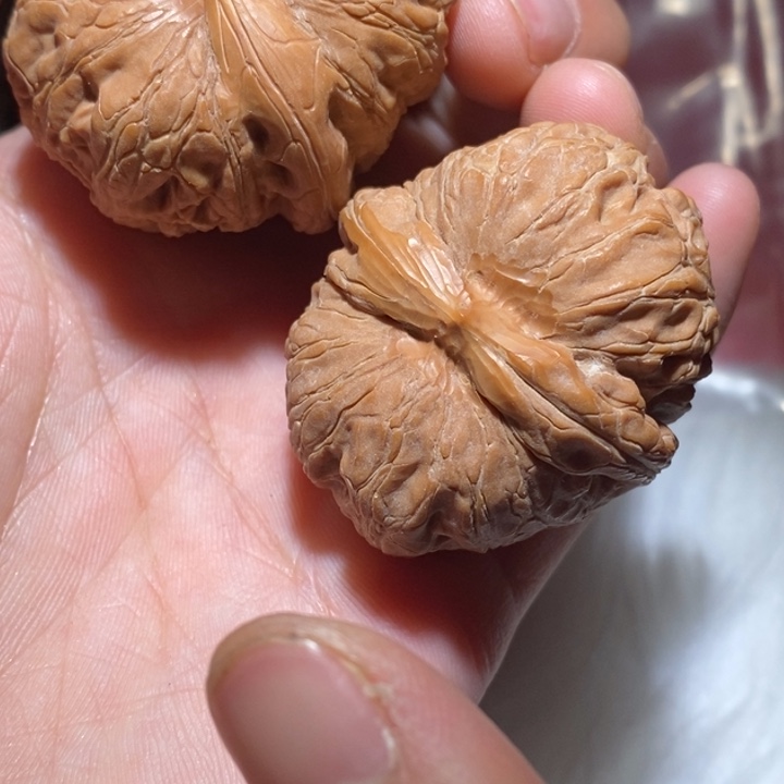 A***K文玩核桃吊坠精品课程和专业培训教材