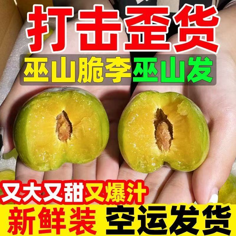 【正宗巫山脆李】重庆巫山脆李脱骨李新鲜应季水果