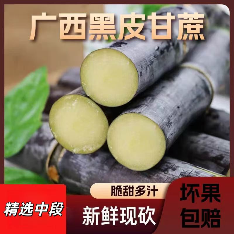 A1【甘蔗之乡】正宗广西黑皮甘蔗崇左龙州新鲜现砍脆甜多汁产地直发