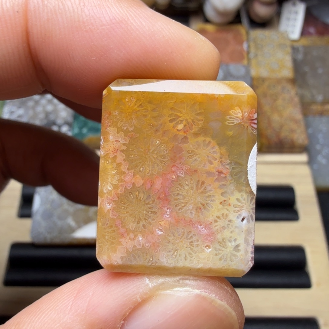 硅化玉未镶嵌纯天然色有机玉石保真色