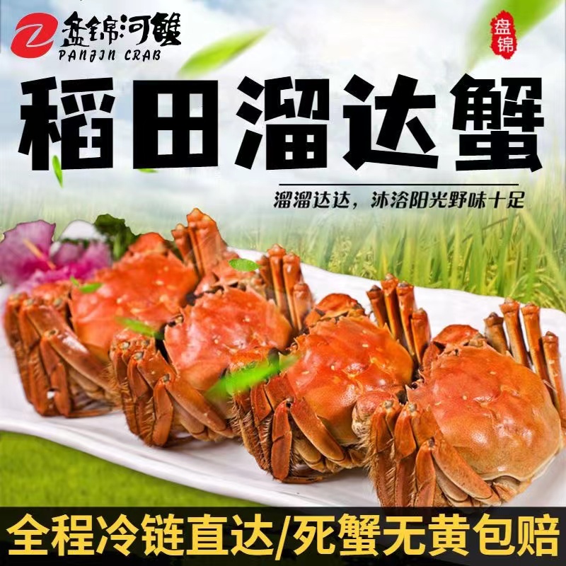 【活蟹30只】顺丰盘锦河蟹20只送10只 公母蟹单只1.2-0.8两 