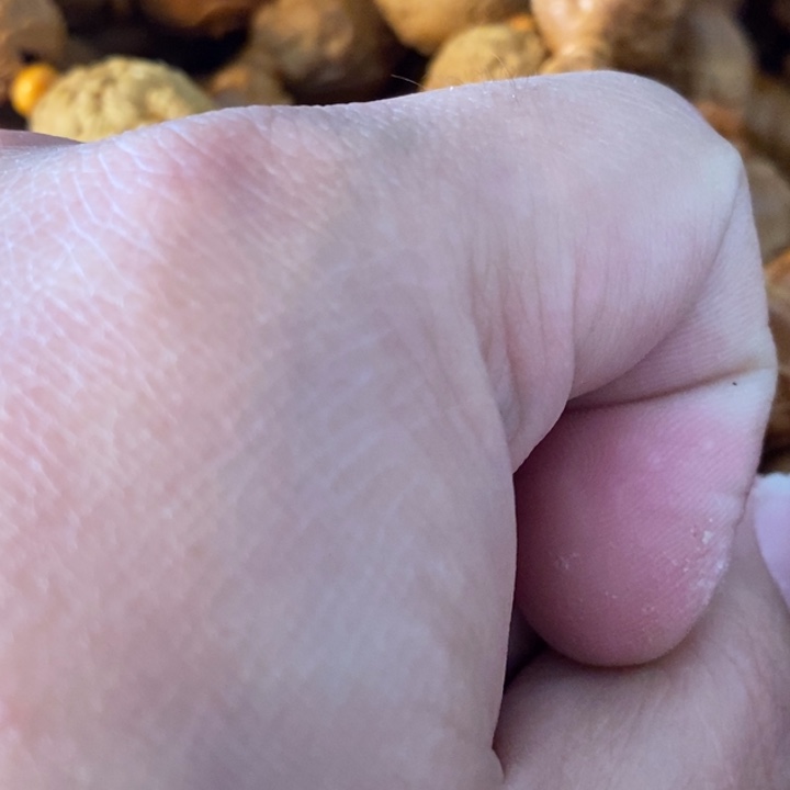 橄榄核手串/手链橄榄微瑕随机发一串