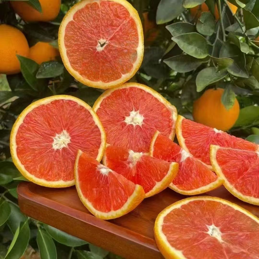 【王大水专属】中华红橙脐橙新鲜红肉橙子当季水果顺丰包邮
