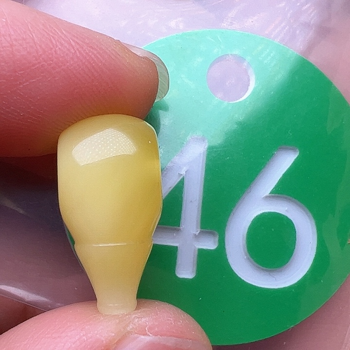 蜜蜡裸石未镶嵌9m m