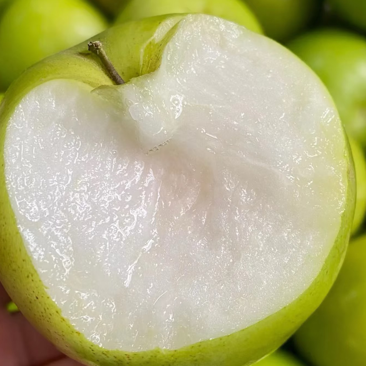 苹果枣（5个）盒