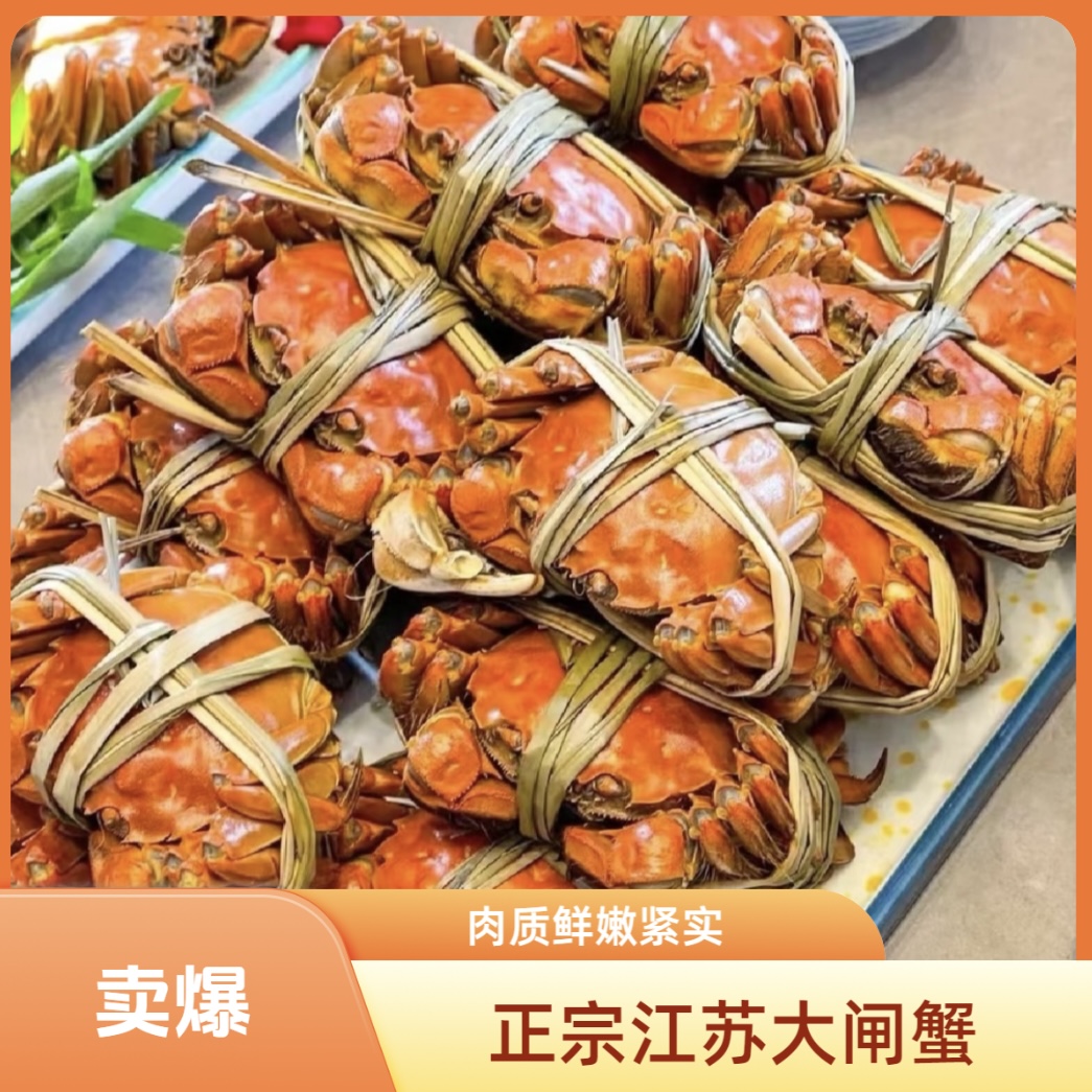 【活蟹】江苏大闸蟹3两全母蟹2.8-3.1两8只送2只共10只