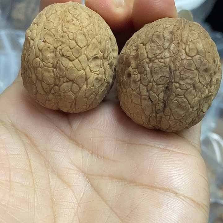 文玩核桃把件云南铁核桃基地8