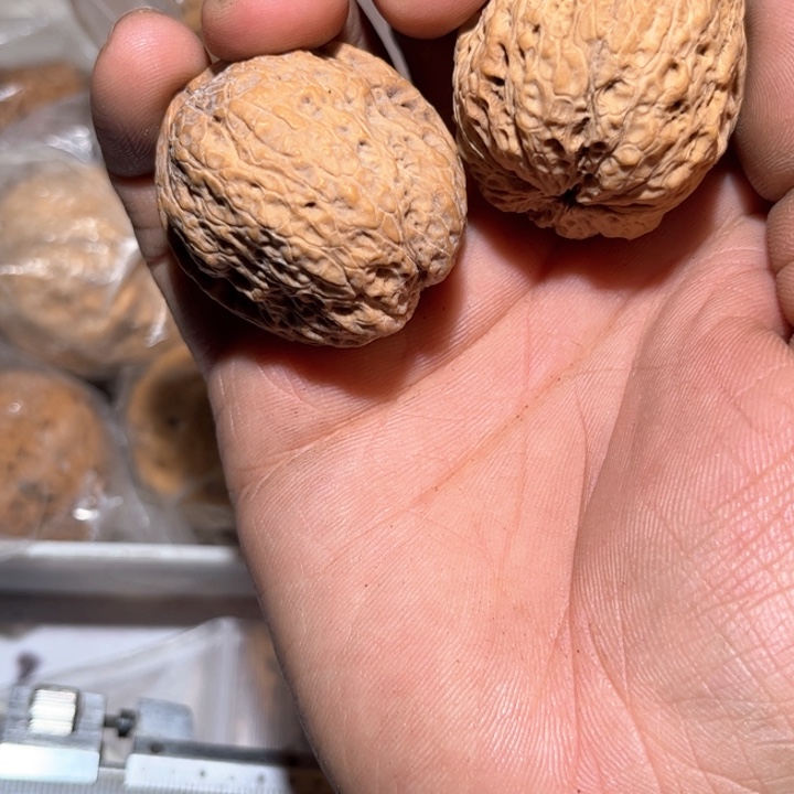 文玩核桃吊坠滇西44