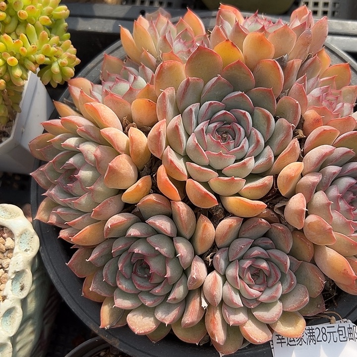 幸运的是我还没遇到过这样