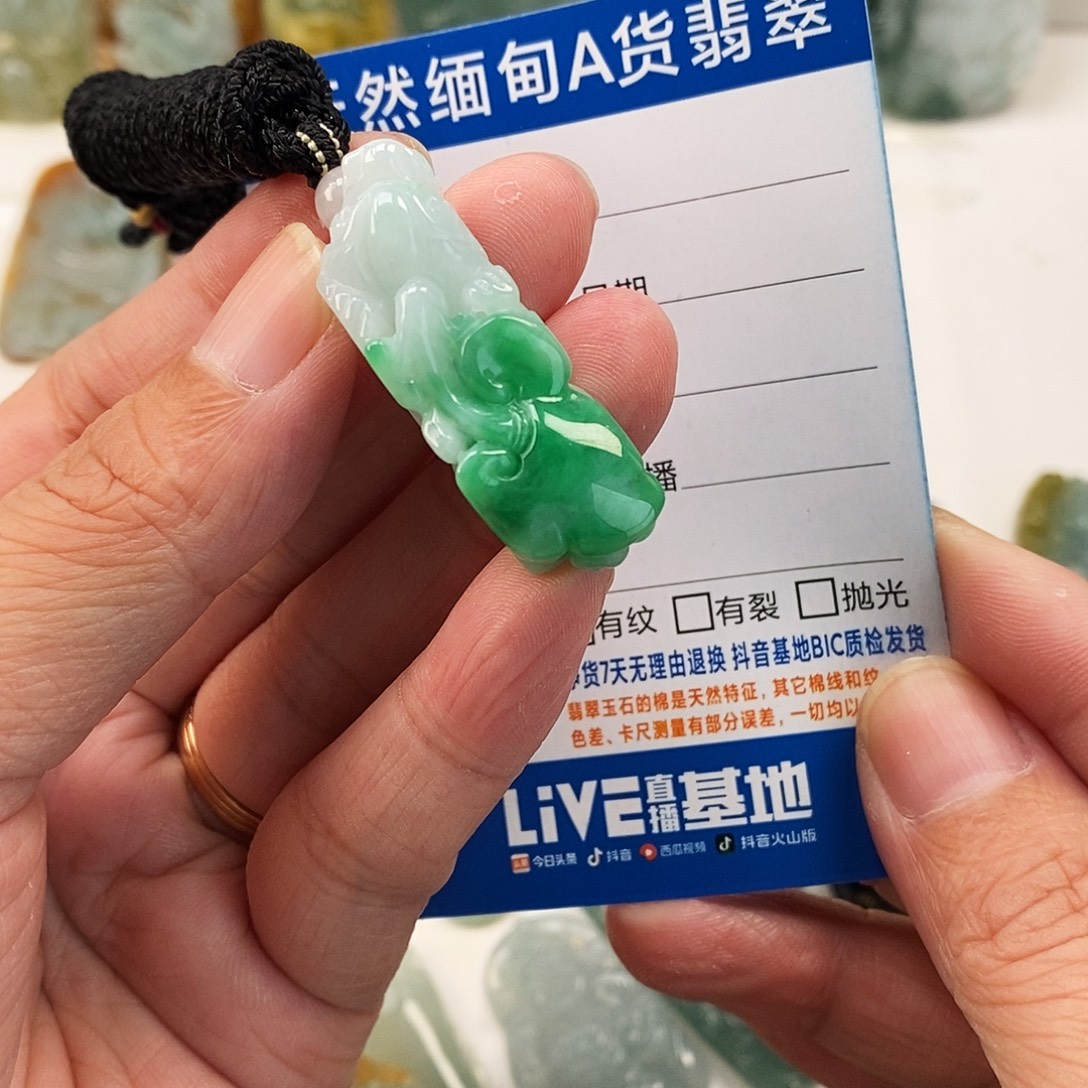 翡翠未镶嵌颈饰貔貅