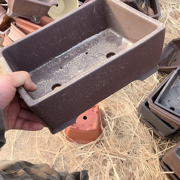 紫砂没有那么重要的人怎么