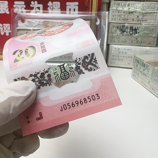 05968503……………………………………