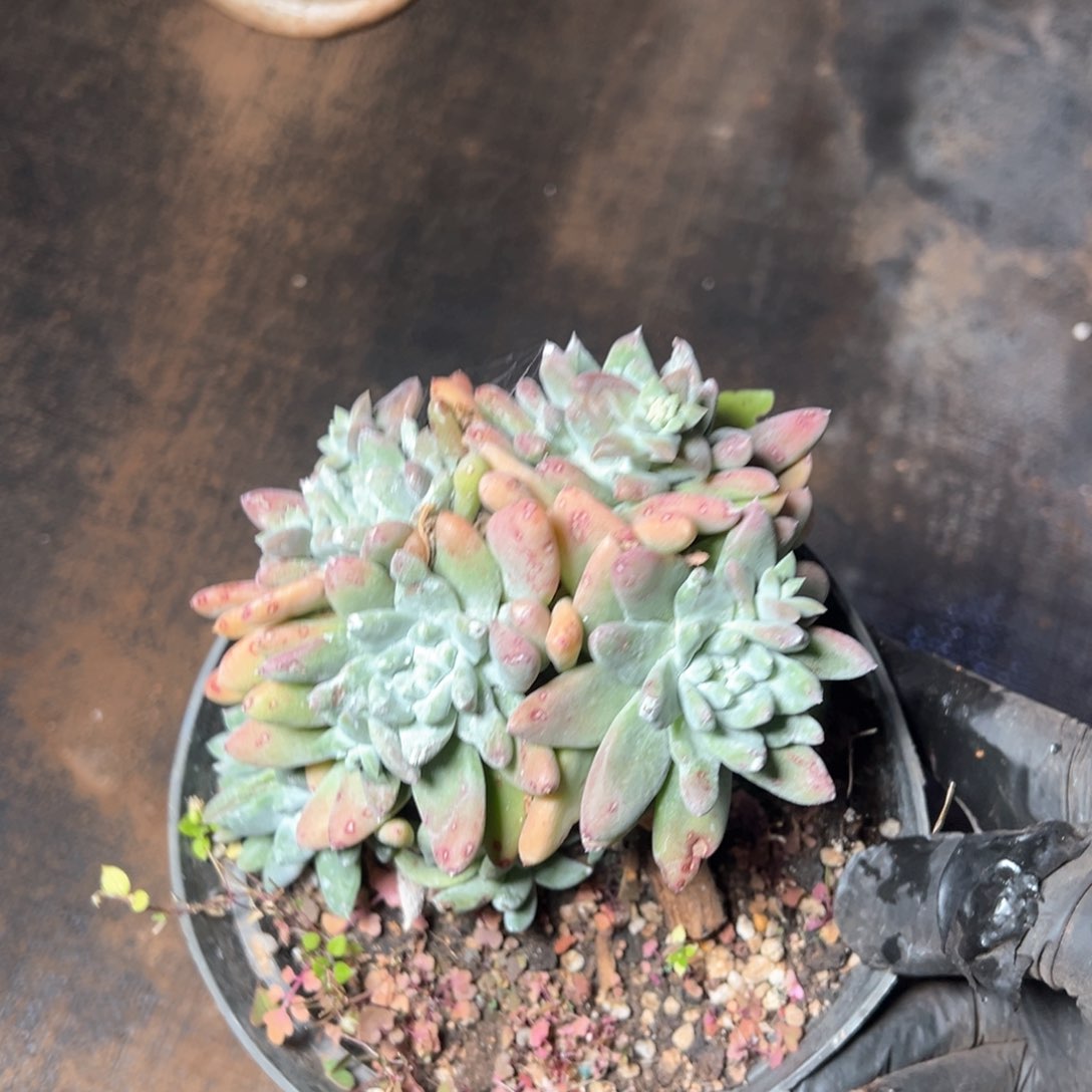 6277哈哈哈哈哈哈哈