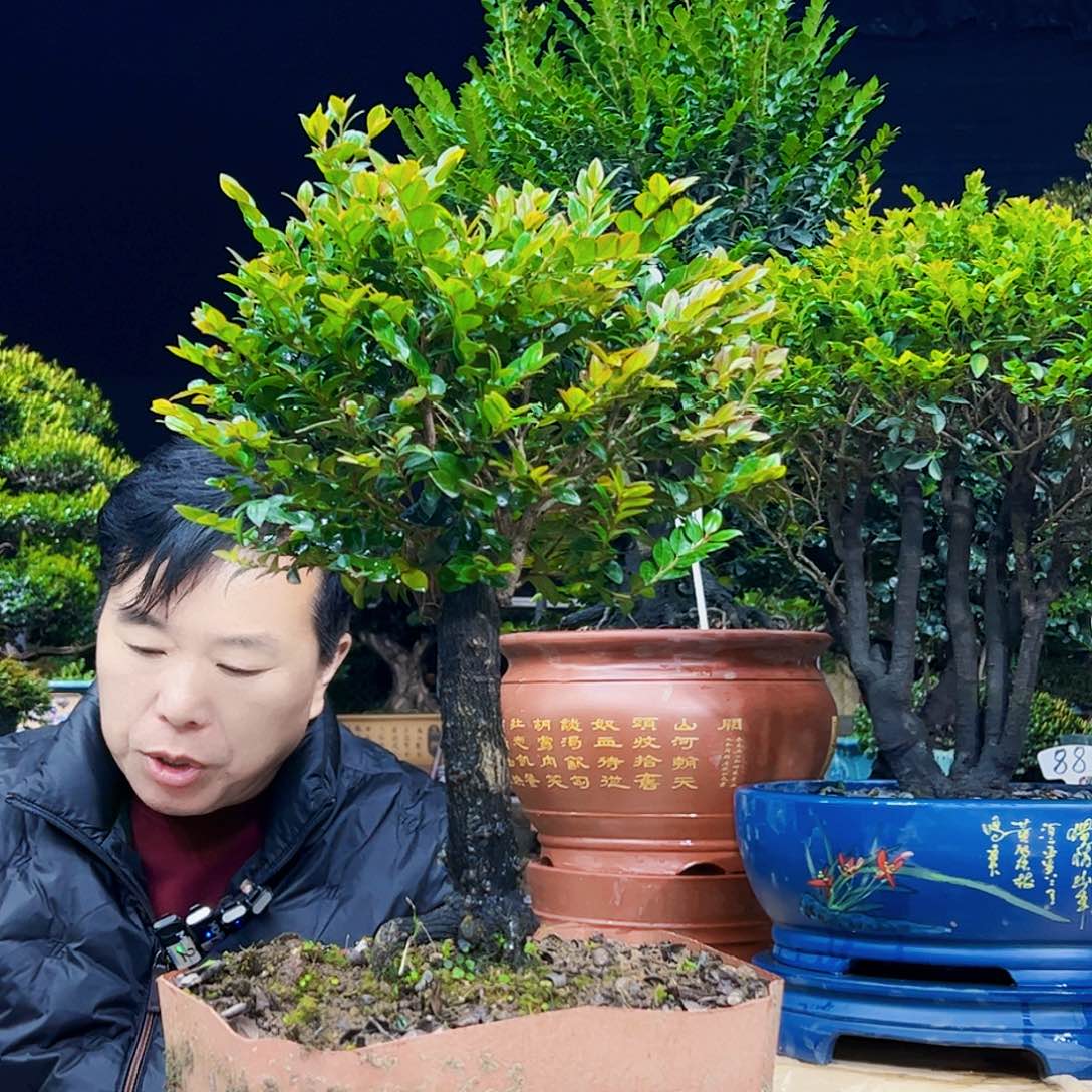 以实际为准老**卉12345678