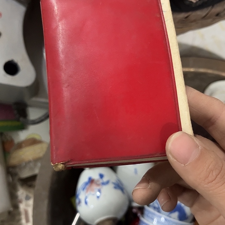 核桃木/黑胡桃（胡桃木）春*