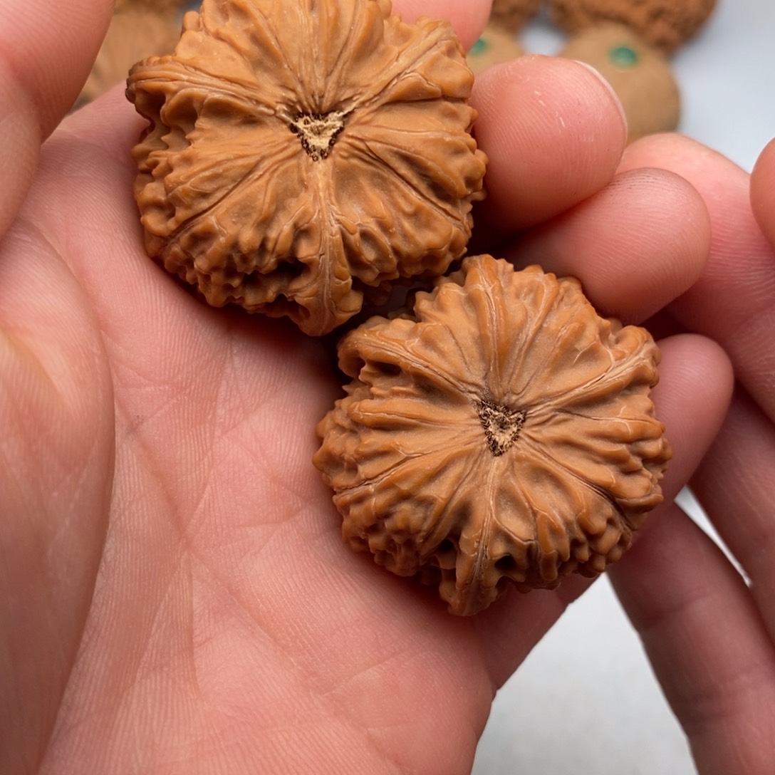 文玩核桃把件龘*齾38+三棱