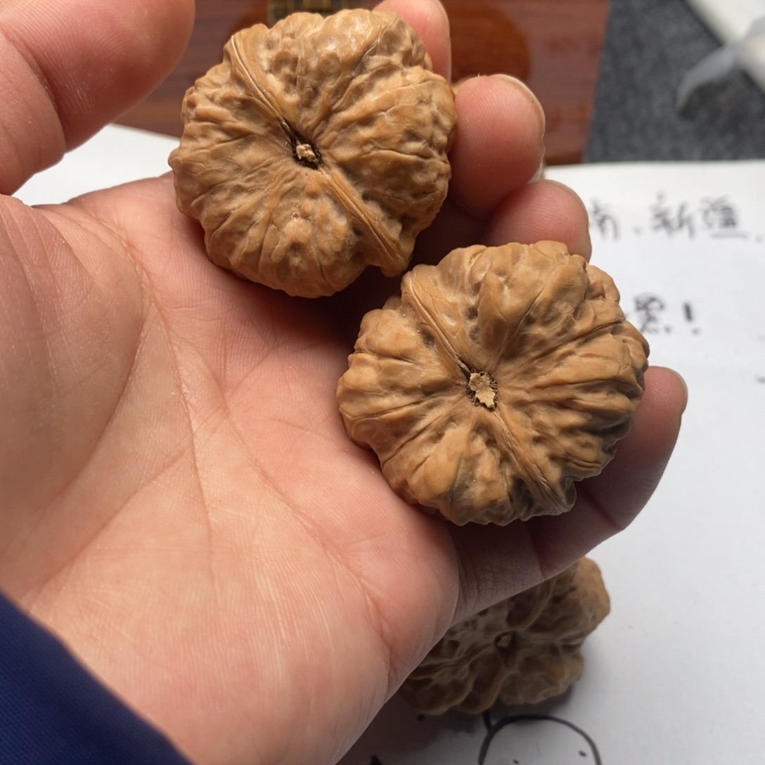 随***欲好的我真的是太喜欢了一下