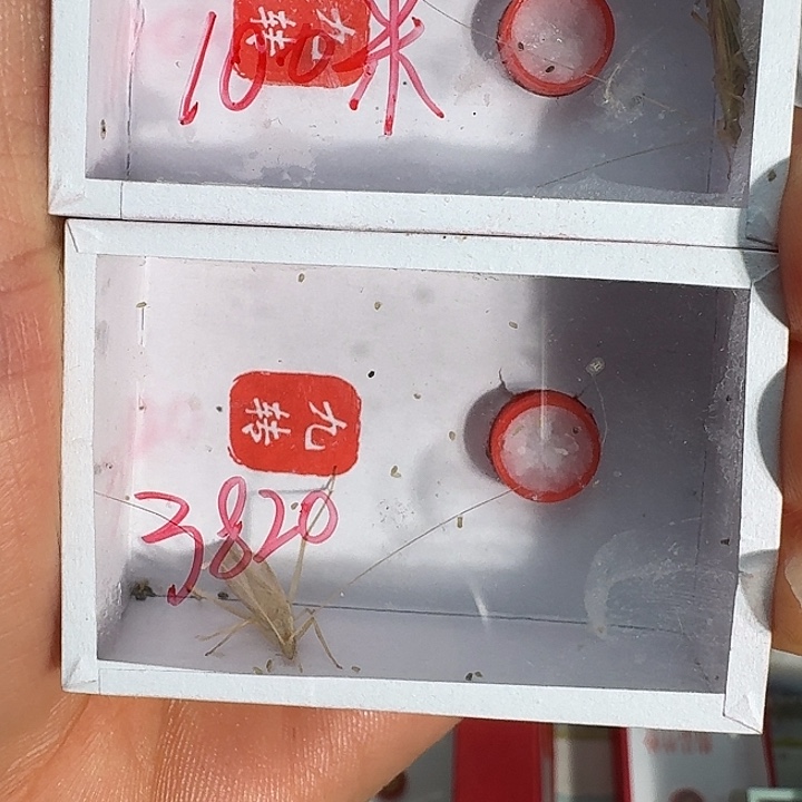 海***～蟋蟀蝈蝈我在外面11111