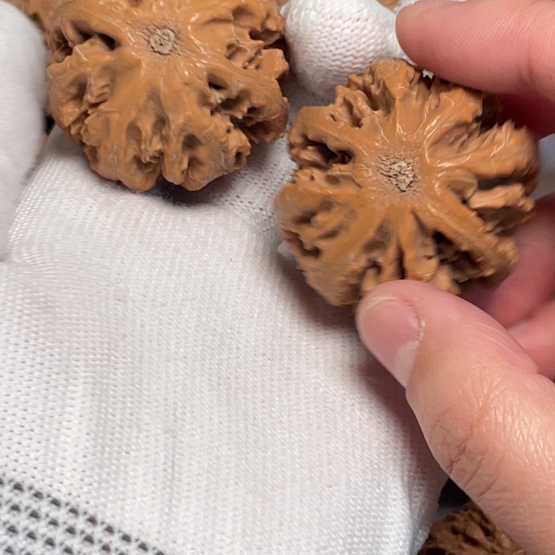 明***哥桃核吊坠23 秦岭灯笼野生小众