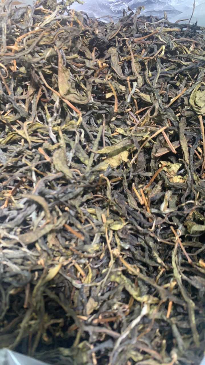 2024年茶农余珍英家古树单株生茶