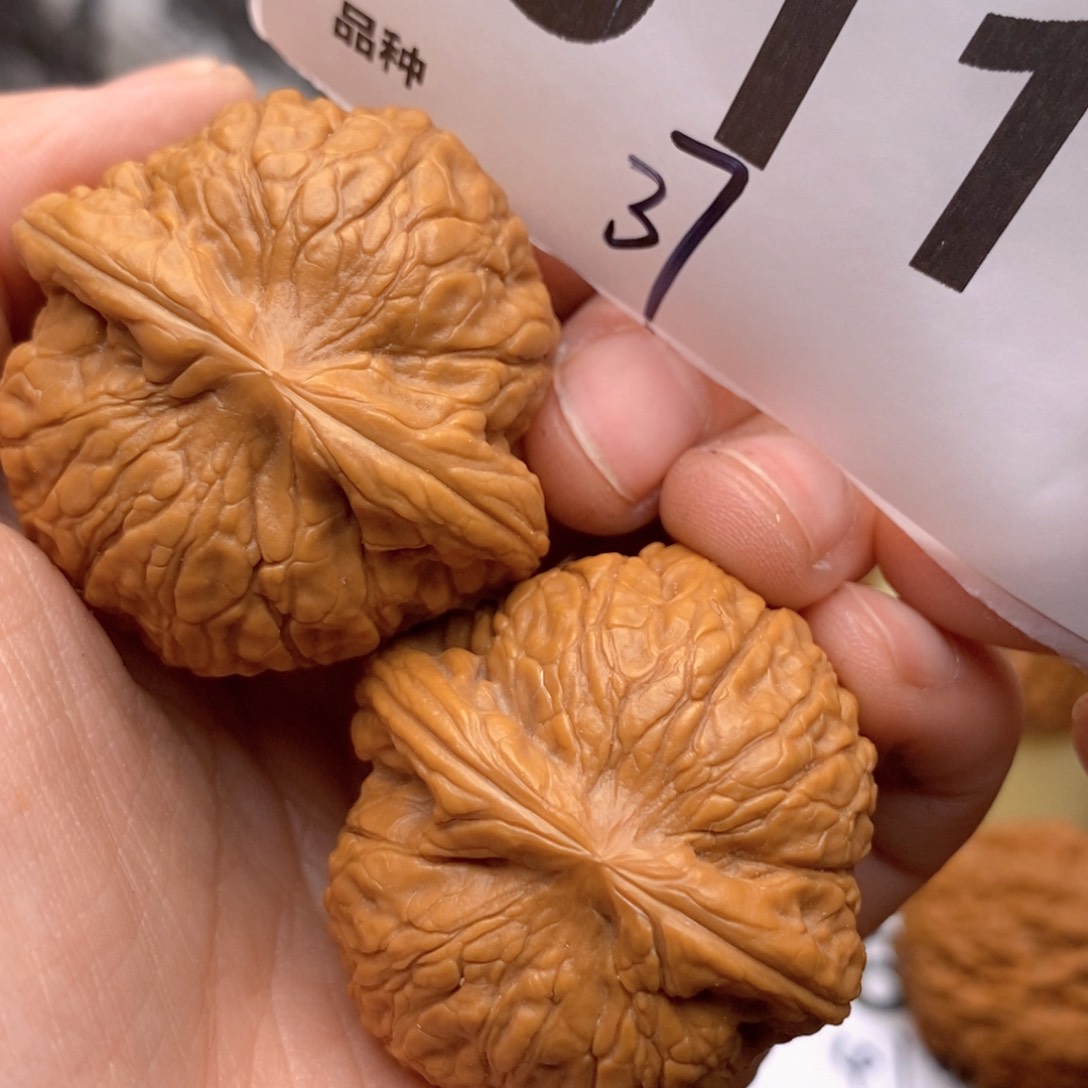 文玩核桃把件611号37乾隆