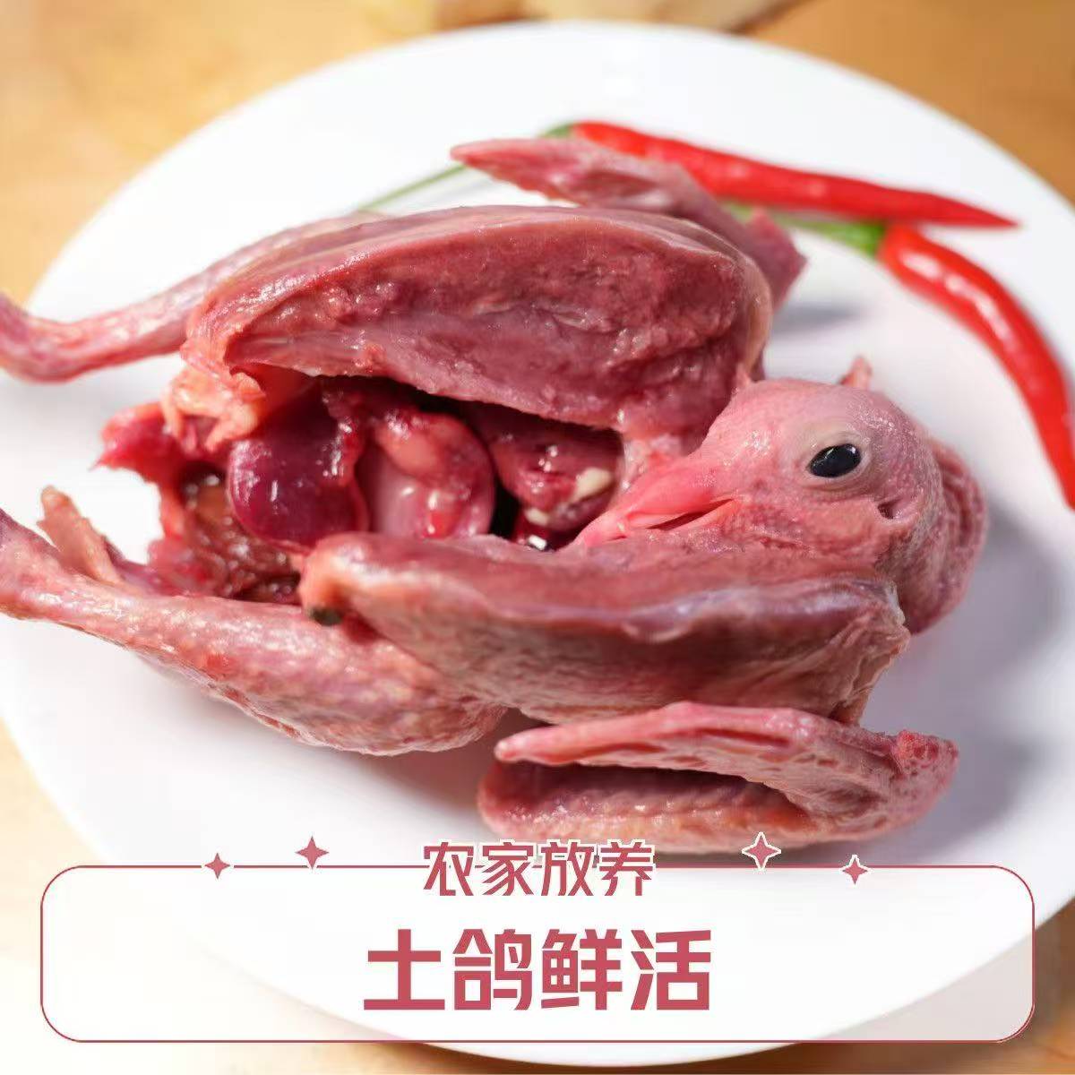 精选6只 顺丰京东包邮新鲜鸽子煲汤美味