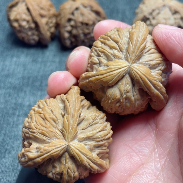 工艺三棱白狮子三棱