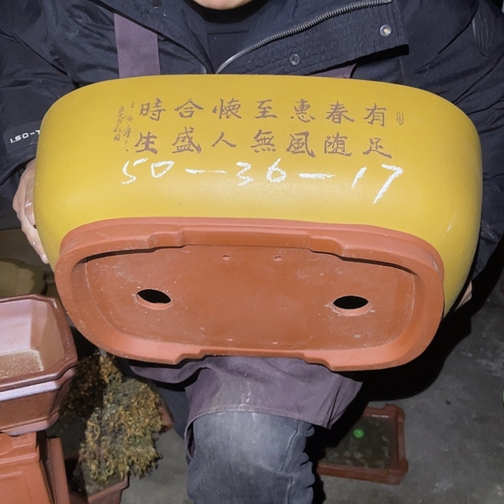 紫砂花盆紫砂等传统