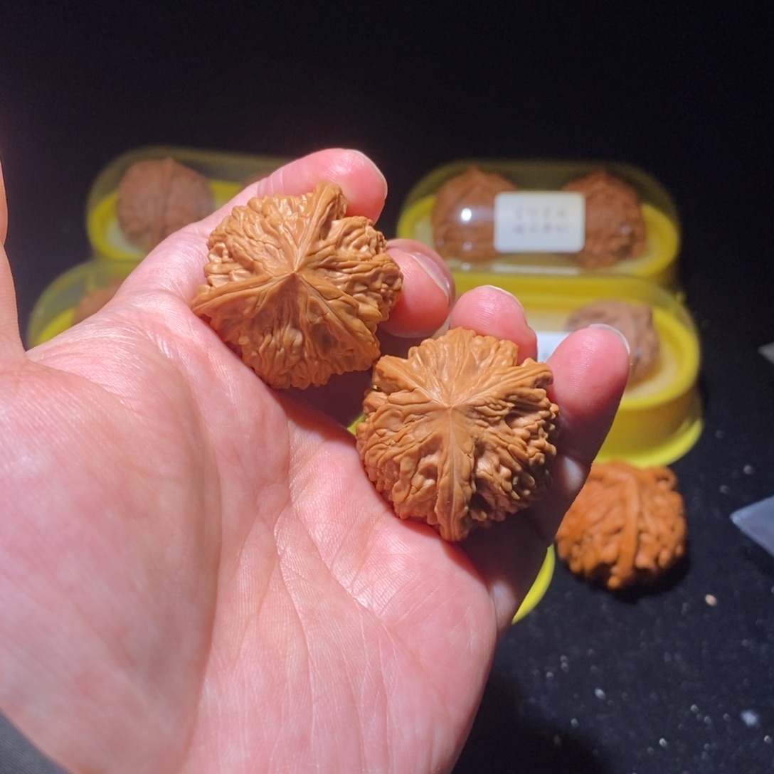 36御龙粗筋正球奔精品