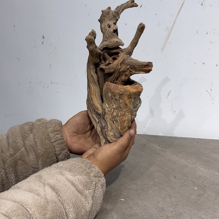 贤***父柏木崖柏等自然资源和生态